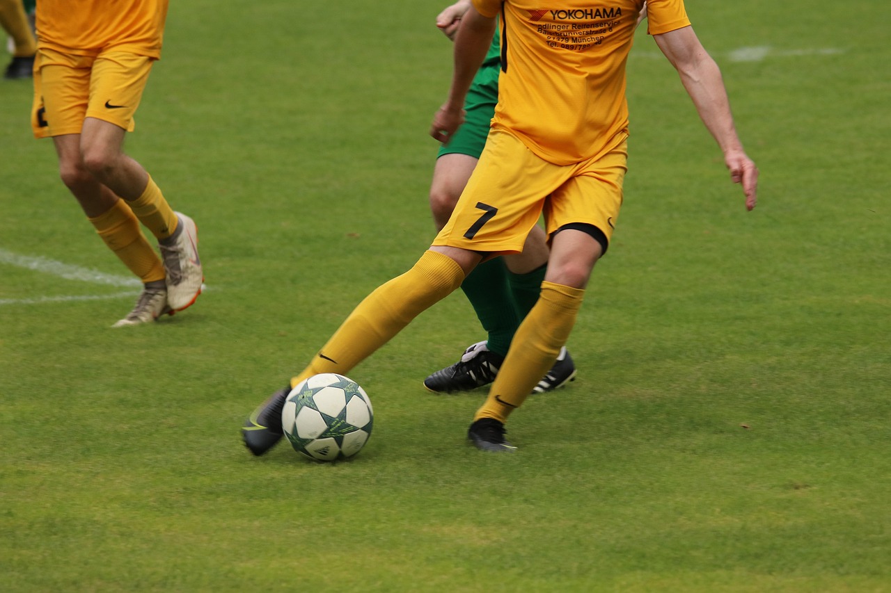 納爾迪尼奧 納爾迪尼奧