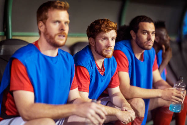 刚官宣引进 刚官宣引进