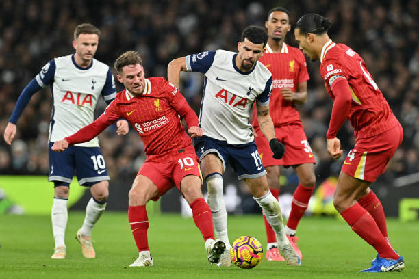 我们期待T 我们期待T